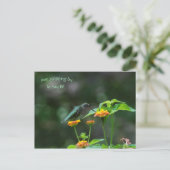 Arrêtez-Vous Juste Par Carte Postale Hummingbird (Debout devant)