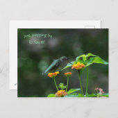 Arrêtez-Vous Juste Par Carte Postale Hummingbird (Devant / Derrière)