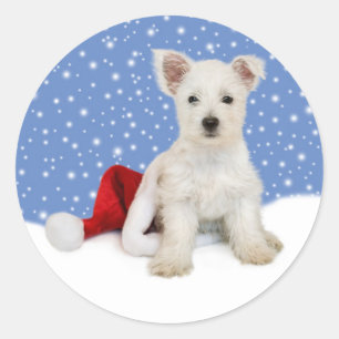 Arrière - plan Bleu Laisser Il Stickers Neige