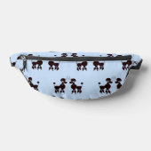 Arrière - plan bleu Paire de caniche (Poser)