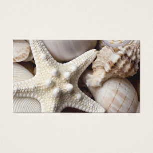 Arrière - plan d'étoiles de mer de Shell de mer