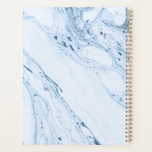 Arrière - plan en marbre bleu clair (Dos)