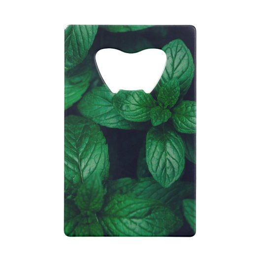 Arrière - plan motif feuille vert Mint (Devant)