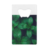 Arrière - plan motif feuille vert Mint (Dos)
