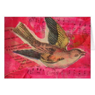 Arrière - plan rose chaud Bird Mix Media