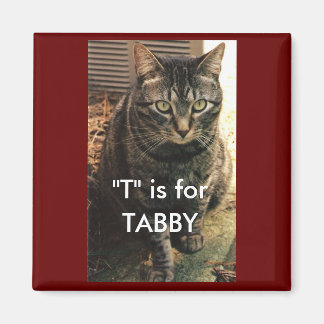 Arrière - plan Tabby Cat Magnet Maroon