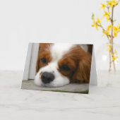 Arrogante Koning Charles Spaniel Kaart (Gele Bloem)
