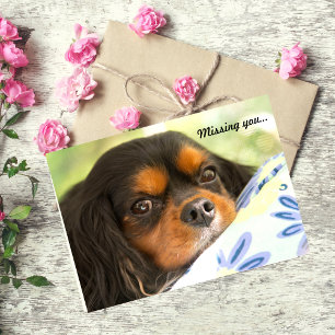 Arrogante Koning Charles Spaniel Missing You Card Kaart