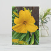 Arrosage sur une carte blanche de fleur de lièvre (Debout devant)