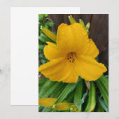 Arrosage sur une carte blanche de fleur de lièvre (Devant / Derrière)