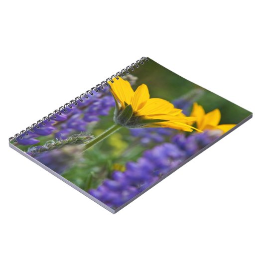 Arrowleaf Balsam Root en Lupine in Spring Bloom Notitieboek (Linkerzijde)