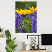 Arrowleaf Balsam Root en Lupine in Spring Bloom Poster (Thuiskantoor)