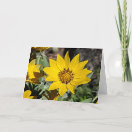 Arrowleaf Balsamroot Notecard Kaart