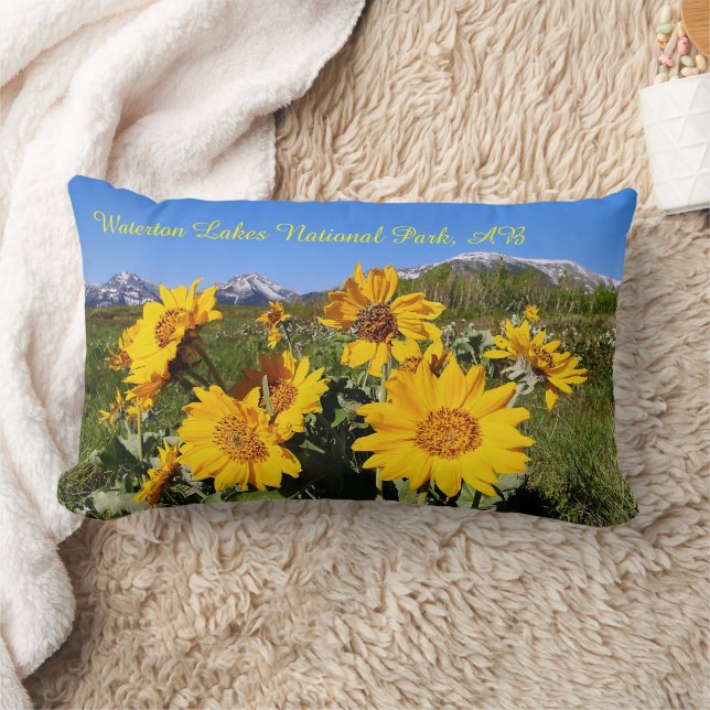 Arrowleaf Balsamroot Wildflower Lumbar Pillow Kussen (Deken)