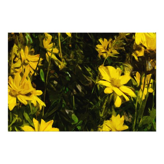 Arrowleaf Balsamroot Yellow Wildflower Abstract Foto Afdruk (Voorkant)
