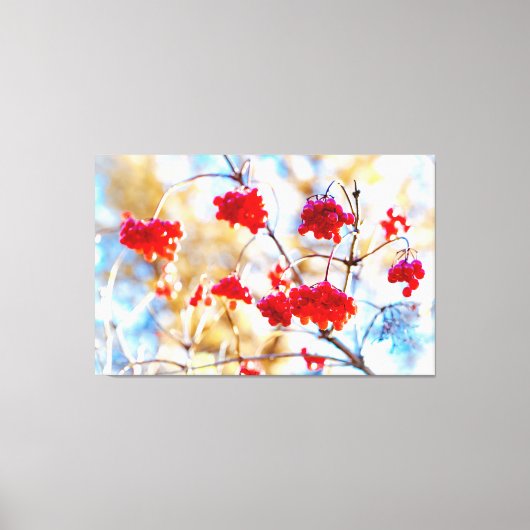Arrowwood Berries Canvas Afdruk (Voorkant)