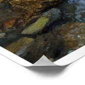 Arroyo Flow Poster (Hoek)