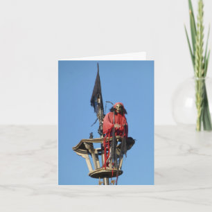 Arrr matey, Happy Birthday Kaart