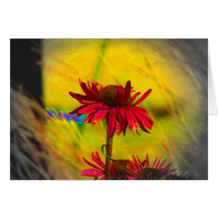 Art. 2