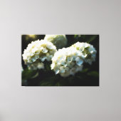 *~* Art Blanc Hydrangea TV2 toile étirée Impressio (Recto)