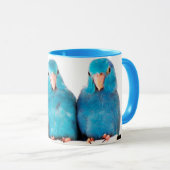 Art bleu Pacifique de tasse de tasse de Parrotlet (Devant droit)