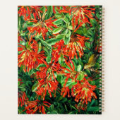 Art botanique : Burning Bush et Emu Wren du Chili (Dos)