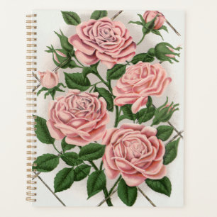 Art Botanique Cottagecore Rose Rose Vintage