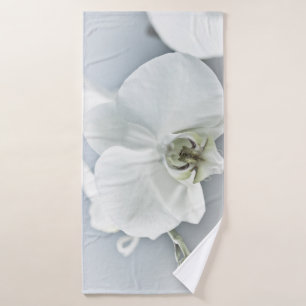 Art botanique de l'orchidée blanche élégante