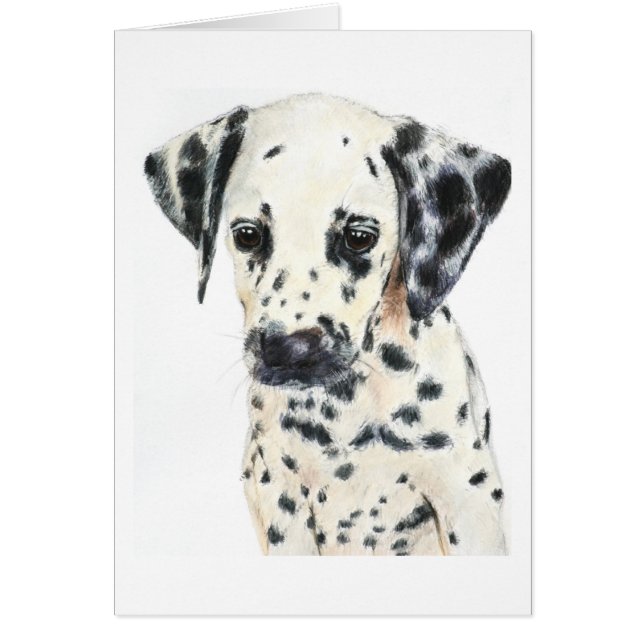 Art dalmatien de chien (Devant)