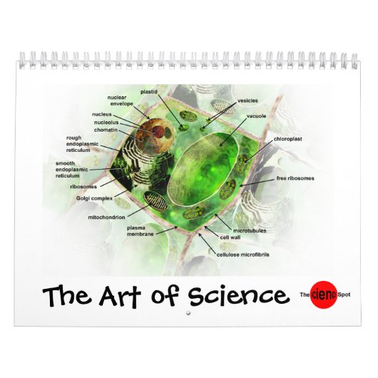 Art de calendrier de la Science (Protection)