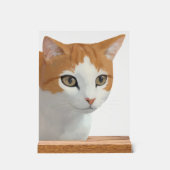 Art de chat roux adorable (Recto)