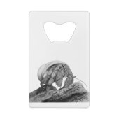 Art de Crabe Pagure Équatorien (Dos)