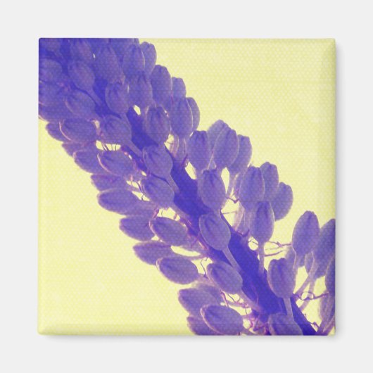 Art de fleur d'été - aimant (Devant)