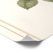 Art de la fleur de rose, impression d'art mural de (Coin)