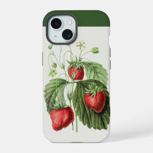 Art de la fraise rouge vintage