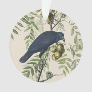 Art de la nature de corbeau américain Audubon vint