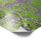 Art de la photo de terrain de lavande (Coin)