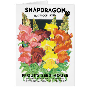 Art de l'étiquette de paquet de graines vintage, f
