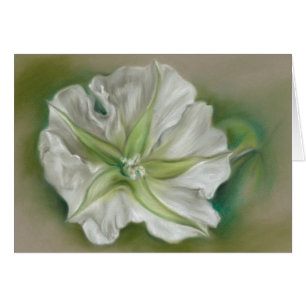 Art de pastel de Moonflower de soirée