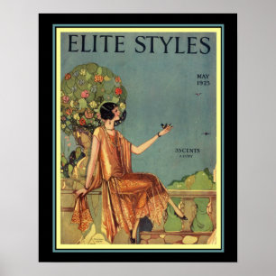 Art Deco Elite Styles Hoesje 16 x 20 Poster