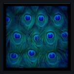 Art Déco Parisien Turquoise Vert Peacock Feature<br><div class="desc">Voici une belle photo de plumes de paon bleu/vert. Art Déco Turquoise Peacock en plumes accessoires de maison. Accessoires de mode paon vintage. faveurs de mariage paon.</div>