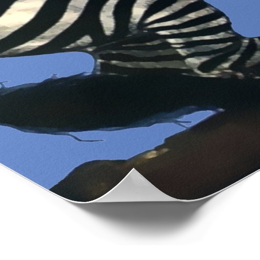  art deco vrouw die op een Zebra rust Poster (Hoek)