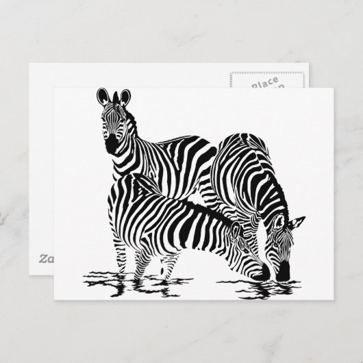 Art Deco-Zebra Briefkaart (Voorkant / Achterkant)
