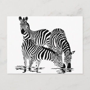 Art Deco-Zebra Briefkaart