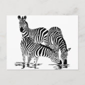 Art Deco-Zebra Briefkaart (Voorkant)