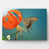 Art Decor Plaque-Butterfly Plaque Fotoplaat (voorkant)