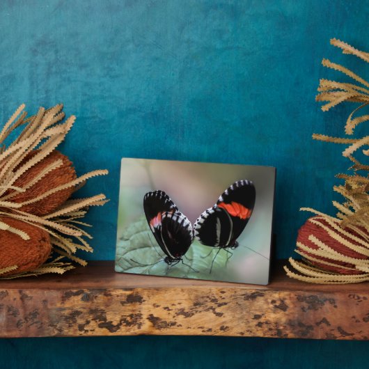 Art Decor Plaque-Butterfly Plaque Fotoplaat (Zijkant)