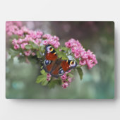 Art Decor Plaque-Butterfly Plaque Fotoplaat (voorkant)