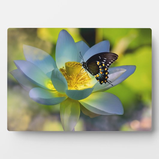 Art Decor Plaque-Butterfly-ventilator Fotoplaat (voorkant)