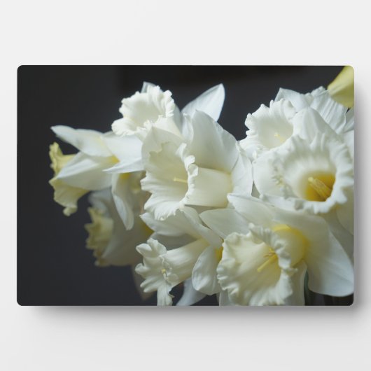 Art Decor Plaque-Daffodils Plaque Fotoplaat (voorkant)